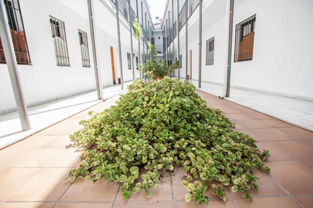 La Casa De Artista, Zona Museo Apartment Seville Exterior photo